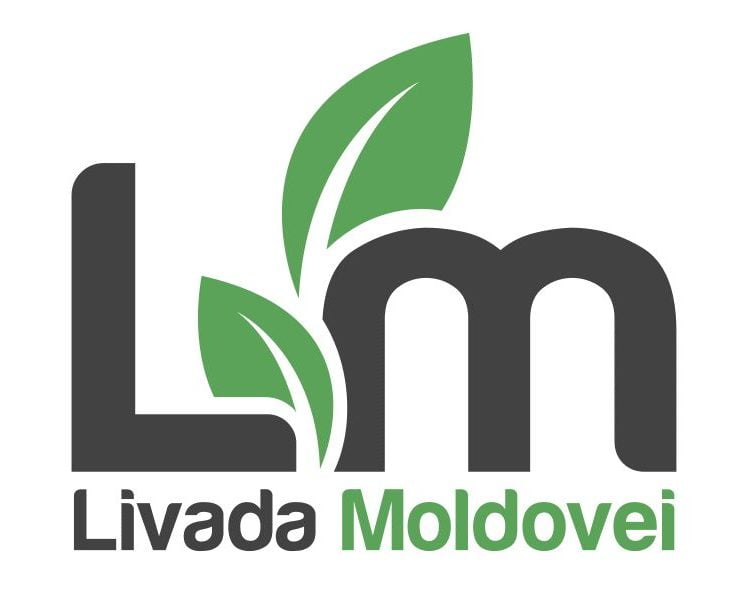 Logo-2024-2-e1705656762741